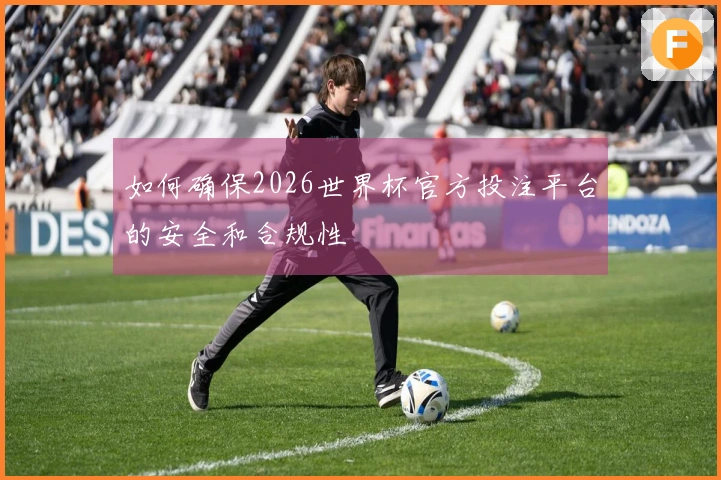 如何确保2026世界杯官方投注平台的安全和合规性
