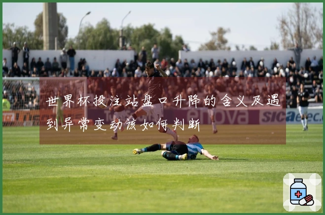 世界杯投注站盘口升降的含义及遇到异常变动该如何判断