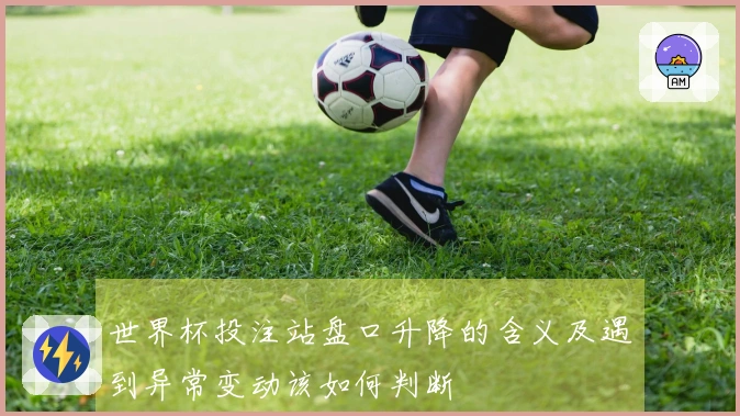 世界杯投注站盘口升降的含义及遇到异常变动该如何判断