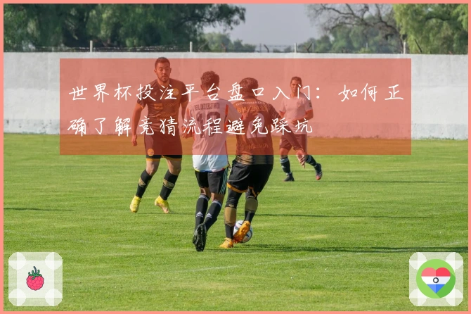 世界杯投注平台盘口入门：如何正确了解竞猜流程避免踩坑