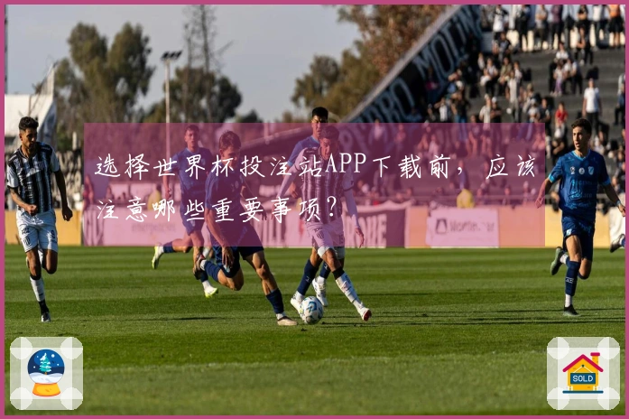 选择世界杯投注站APP下载前，应该注意哪些重要事项？