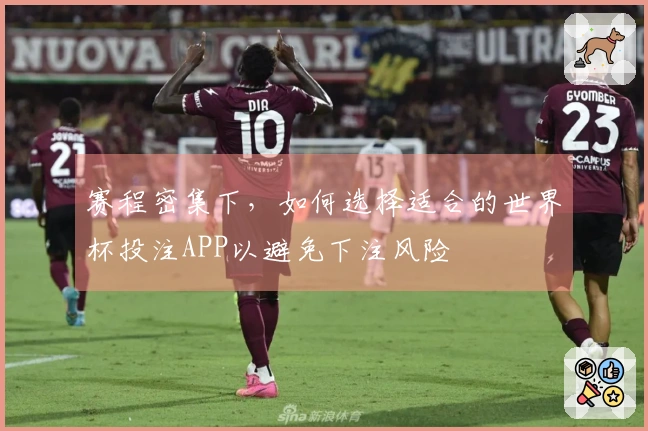 赛程密集下，如何选择适合的世界杯投注APP以避免下注风险